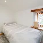 Driftwood