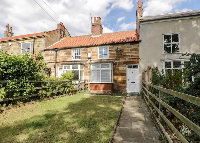 Driftwood * Saltburn-by-the-Sea