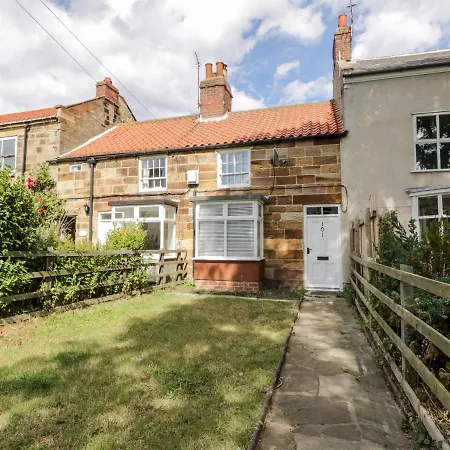 Driftwood * Saltburn-by-the-Sea